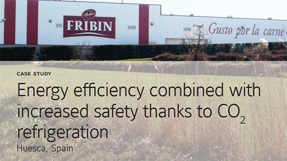 Banner of Fribin case study